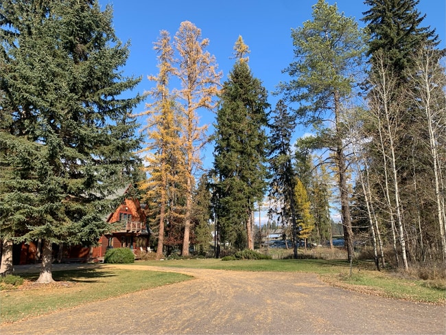 Photo - 1005 Creekview Dr