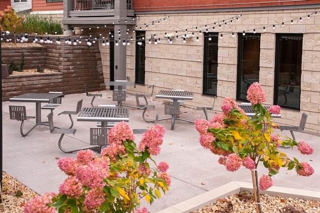 The Cambric Senior Apartments