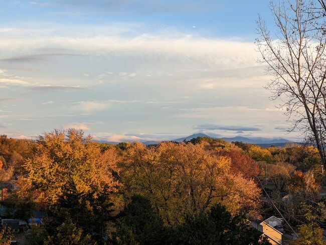 Photo - 163 Franklin St Unidad B