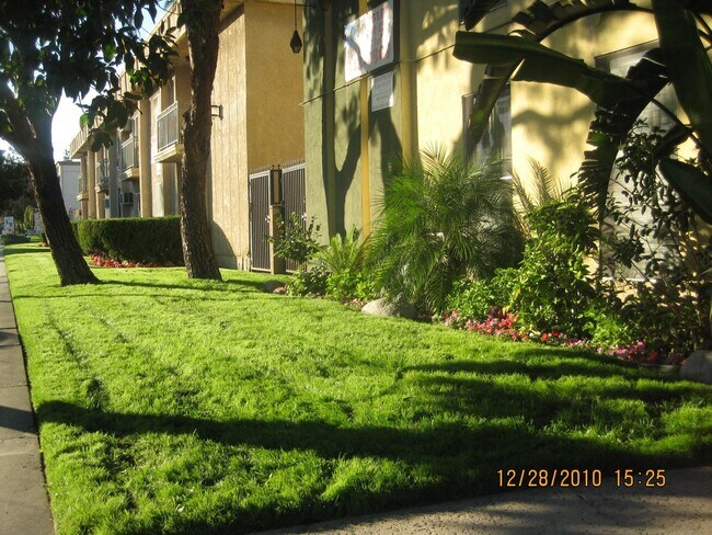18555 Burbank Blvd Apartments