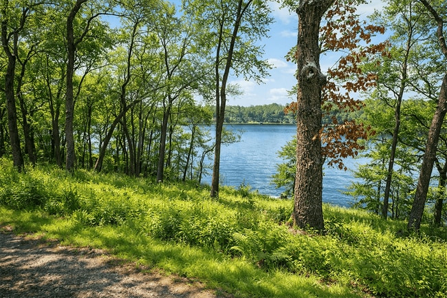 Photo - 2470 Crooked Lake Rd