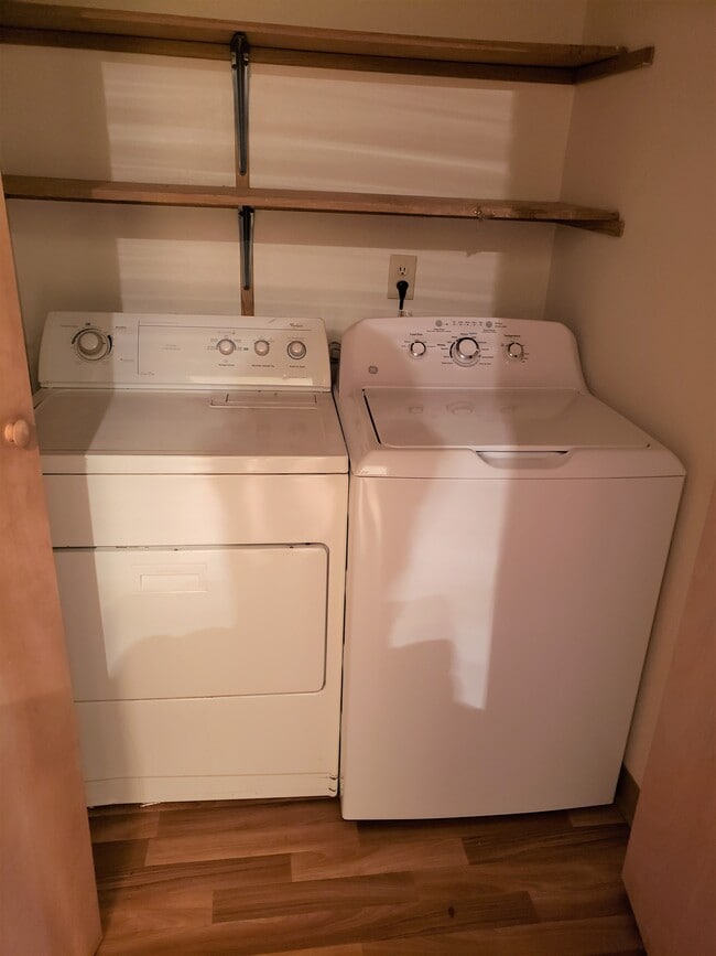 Photo - Tree Hill Commons