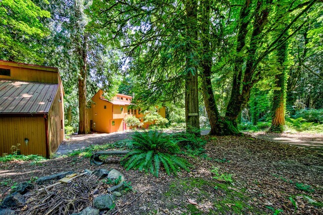 Photo - Private 3 Bedroom Home in the Woods
