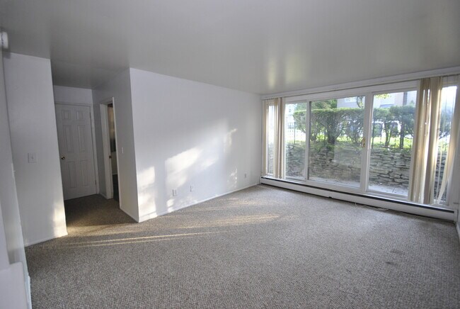 Living Room - 910 Packard St