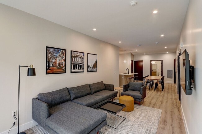 Photo - Cypress on Vine