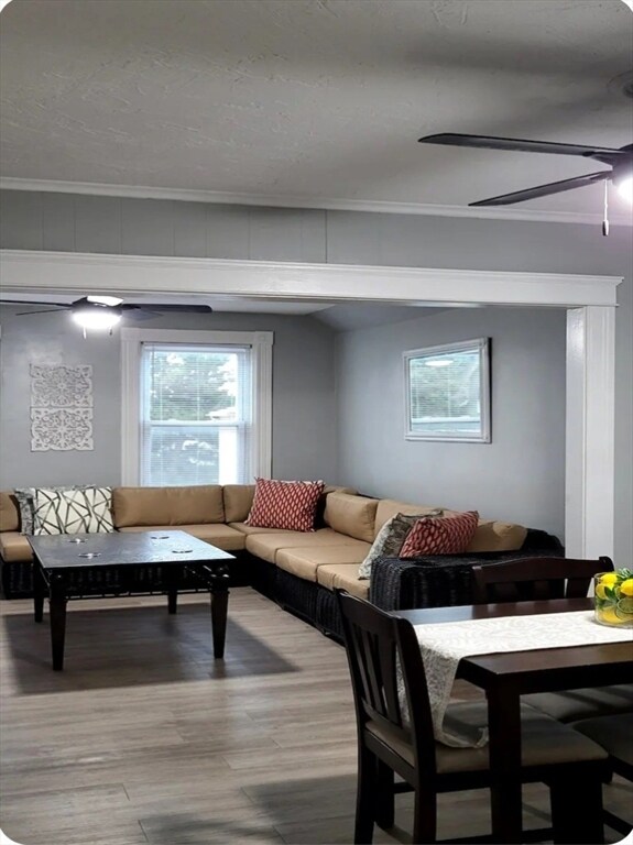 Photo - 9 Reeves St Unit 3