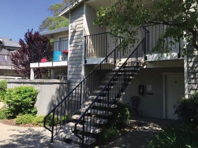 Photo - Jasmine by Elevate