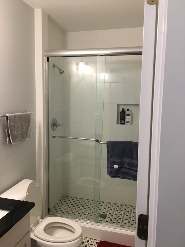 Bathroom Shower - 629 Saint Peter St