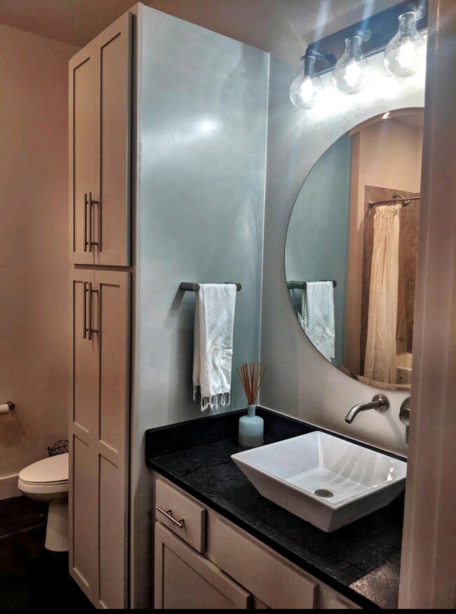 Guest Bathroom View