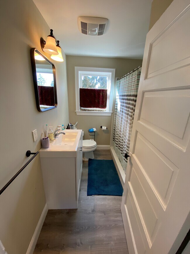 Sexy bathroom - 284 Central St Unit 2