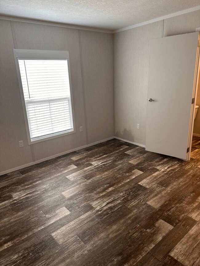 Photo - 58 Formby St