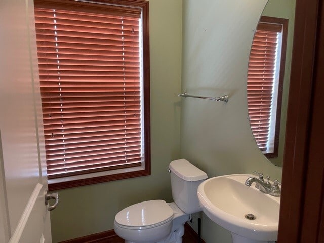 Photo - 2148 Cedar Grove Trail