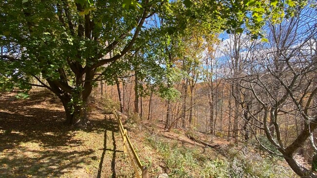 Photo - 839 Litchfield St