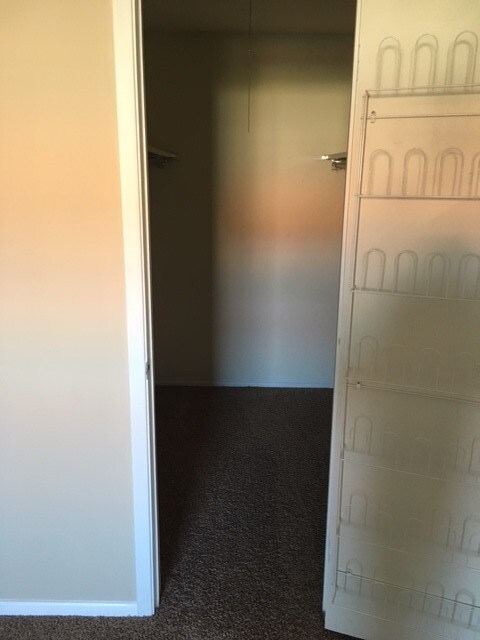 Photo - The Thunderbird