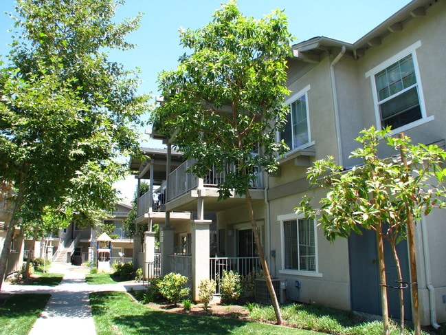 The Vintage Apartments
