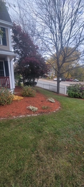 Photo - 54 Clarendon St