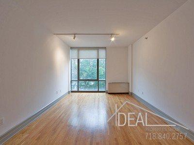 1 bedroom in brooklyn NY 11201 - 1 bedroom in brooklyn NY 11201 Condominio