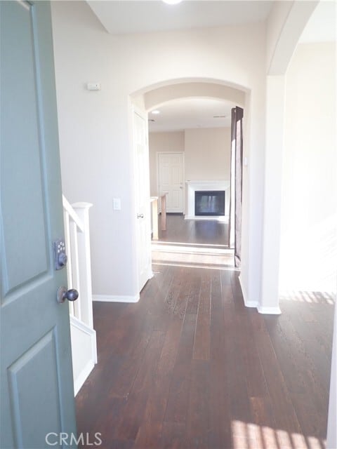 Photo - 27605 Chicory St
