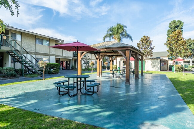 Patio y barbacoas