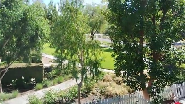 4 Honey Tree