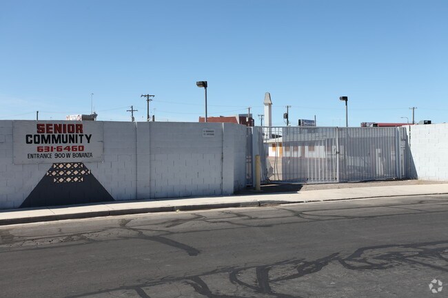 Photo - Desert Cactus