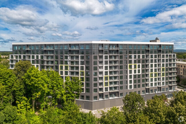 Building Photo - The Palmer Residences