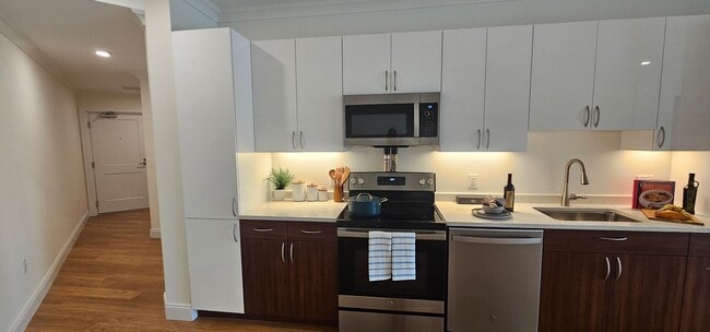 Photo - Chestnut Hill Luxury 1-Bed 1-Bath Apartment