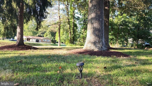 Photo - 12411 Thompson Rd