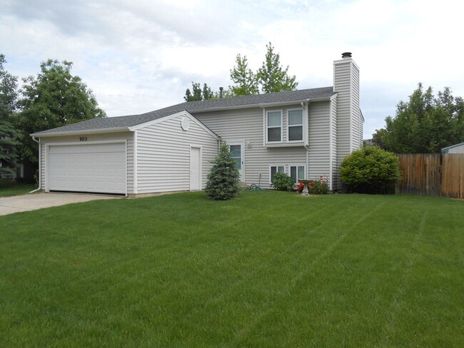 Building Photo - Spacious 4 Bed/2 Bath Home in Loveland
