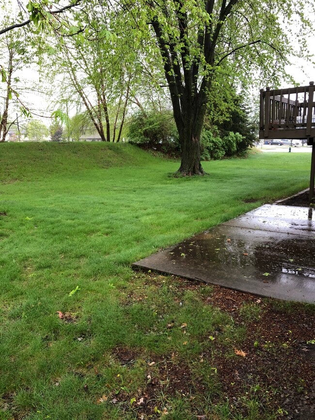 Photo - 1004 Terrace Dr