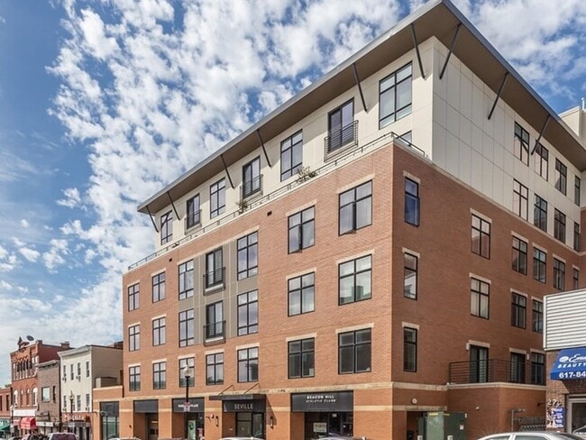 Photo - 248-252 Meridian St Condo Unit 204