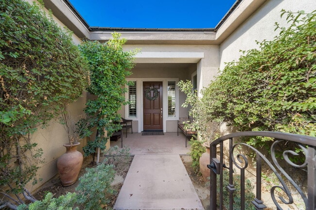 Photo - 60259 Prickly Pear