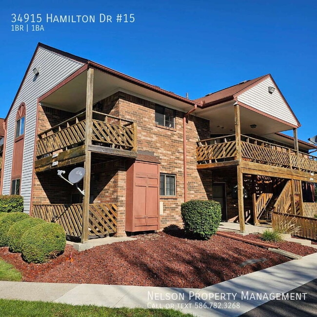Photo - 34915 Hamilton Dr Unidad 15 Rental
