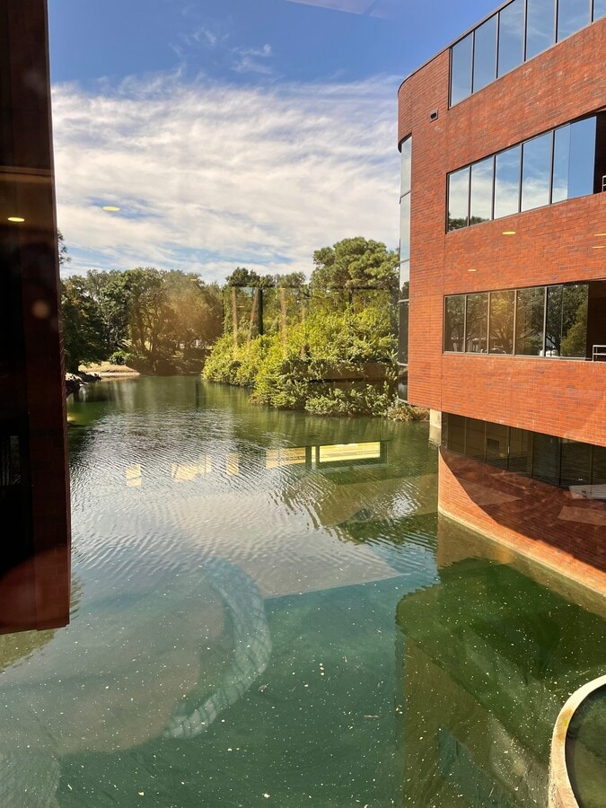 Photo - 15950 Bay Vista Dr Unit 103