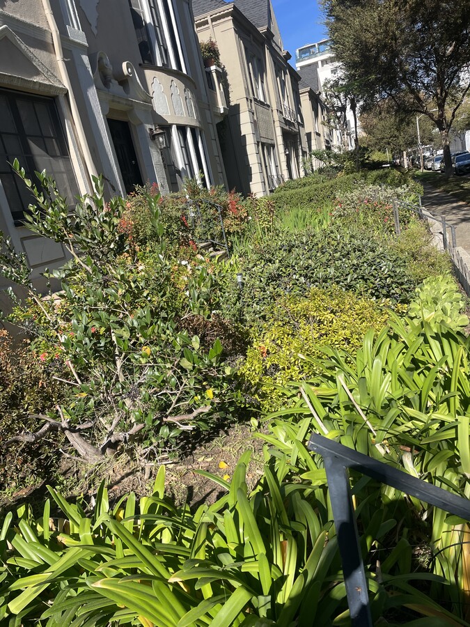 Photo - 1435 S Bentley Ave Apartments Unit 1435