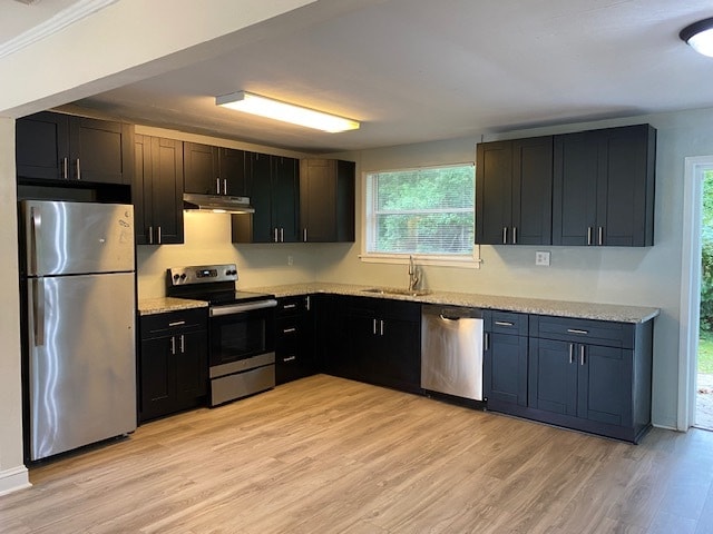 Photo - Cactus/Block - 504