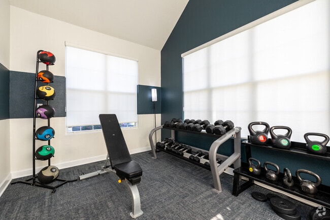 Gimnasio