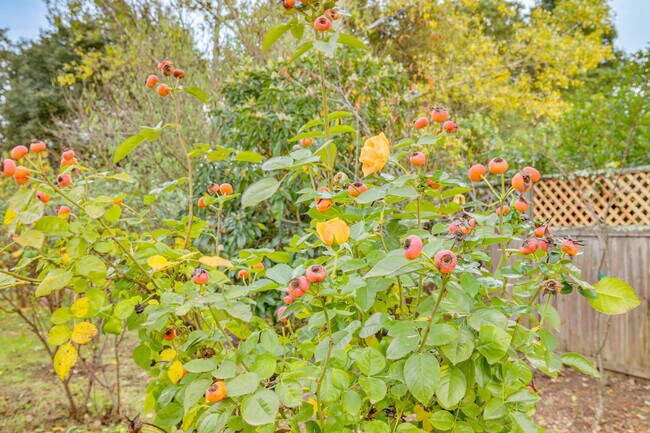 Photo - 158 Sierra Pl Unidad ID1386261P