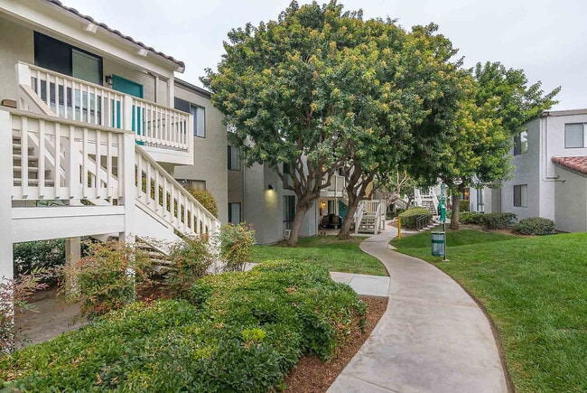 Photo - Bonita Cedars