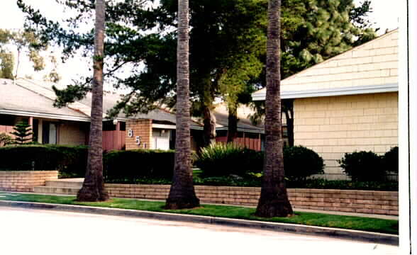 Photo - Domingo Pines