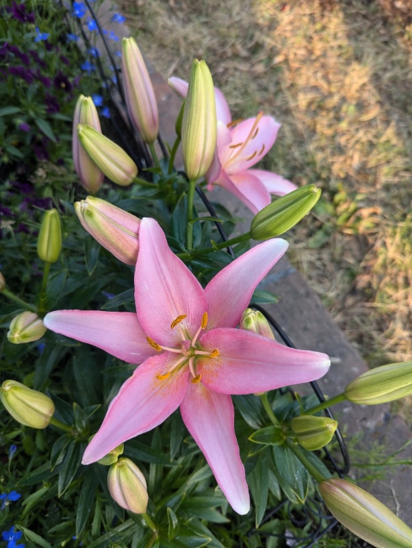 Photo - 220 Baranof Ave Unit Apt. 1