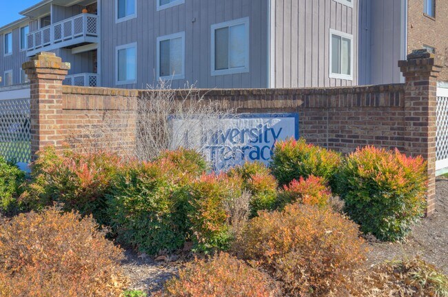 Photo - University Terrace