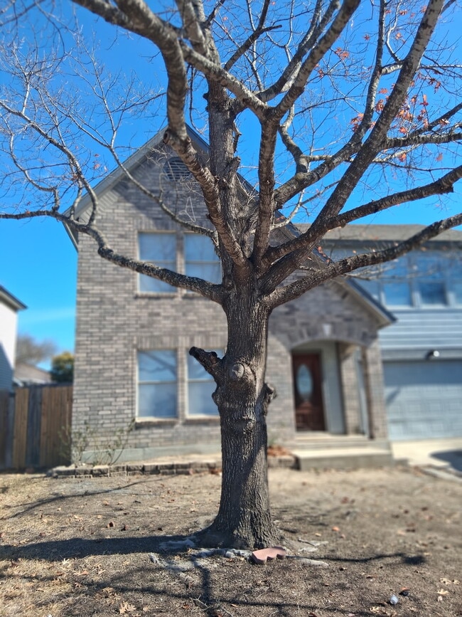 Photo - 874 Fillmore Dr