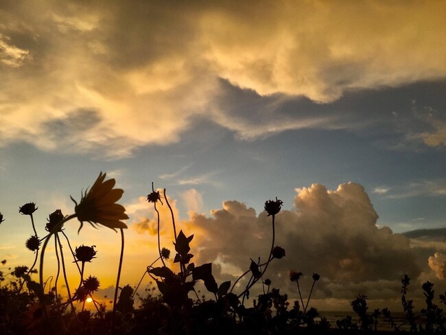 Photo - 1011 9th St Unit 1