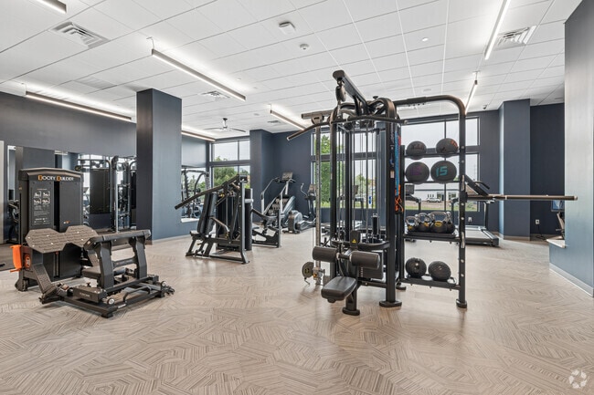 Gimnasio