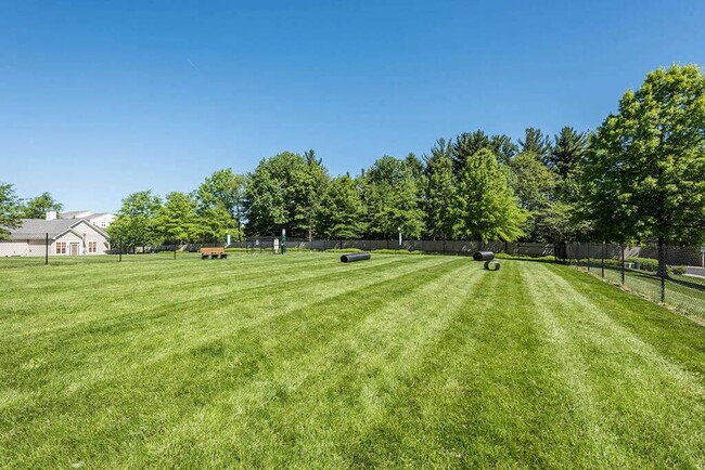 Photo - Owings Park