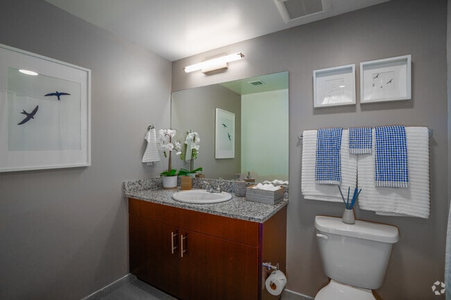 Model Unit