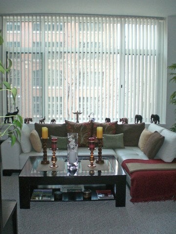 Living area - 211 E Ohio st. Unit 305