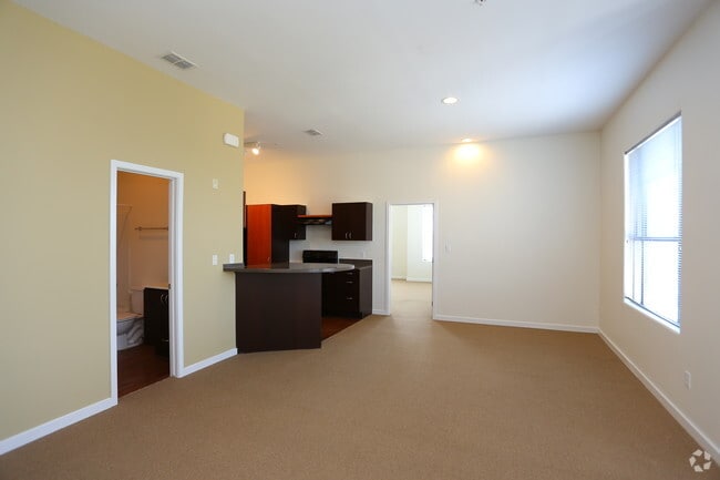 Large Living Room