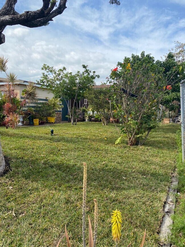 Photo - 481 NE 51st St